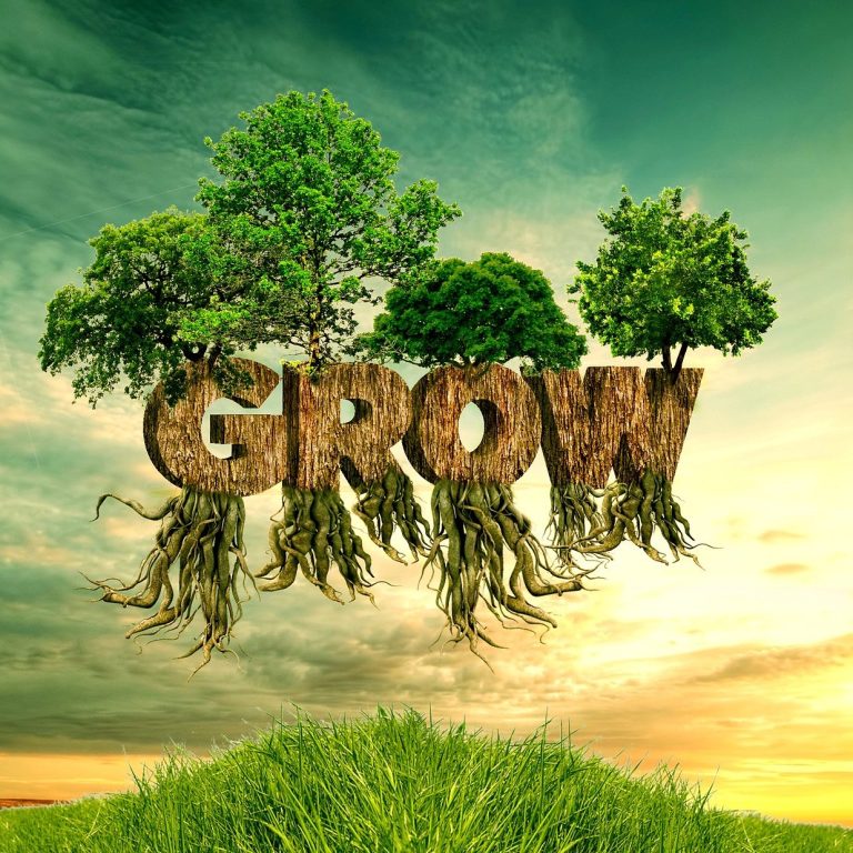 Text "GROW" aus Erde und Wurzeln, umgeben von grüner Wiese und blauem Himmel.